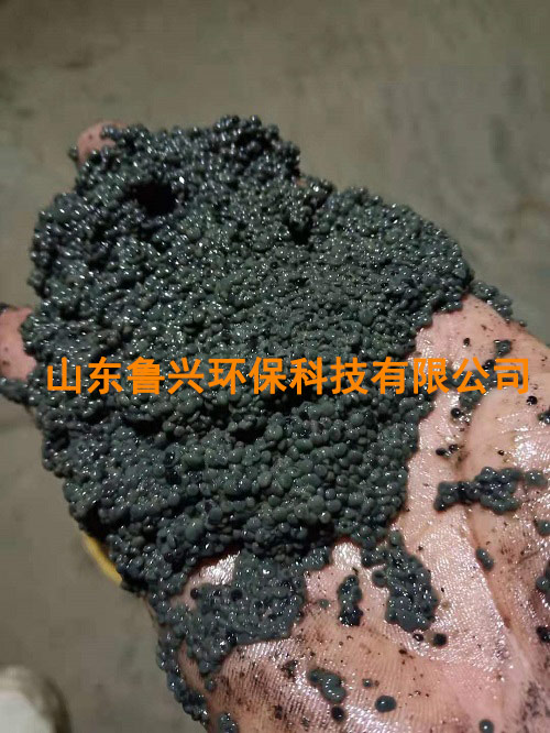 厌氧颗粒污泥-(3).jpg