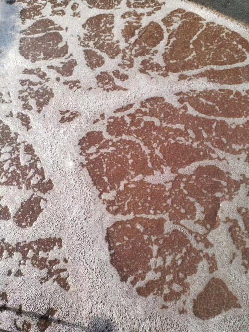氨氧化-(2).jpg