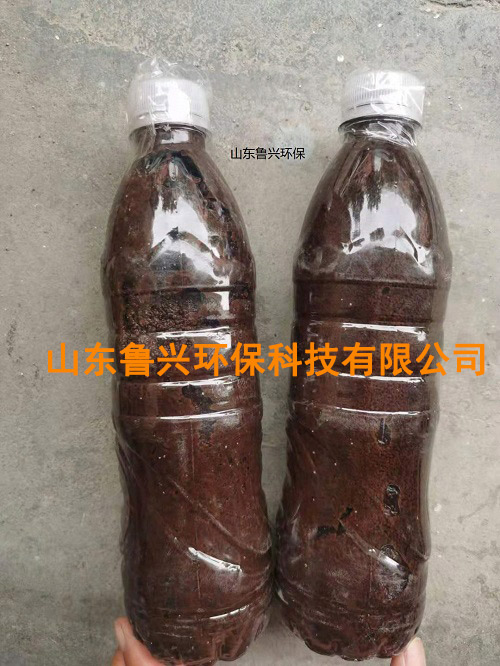 厌氧氨氧化颗粒污泥-(7).jpg