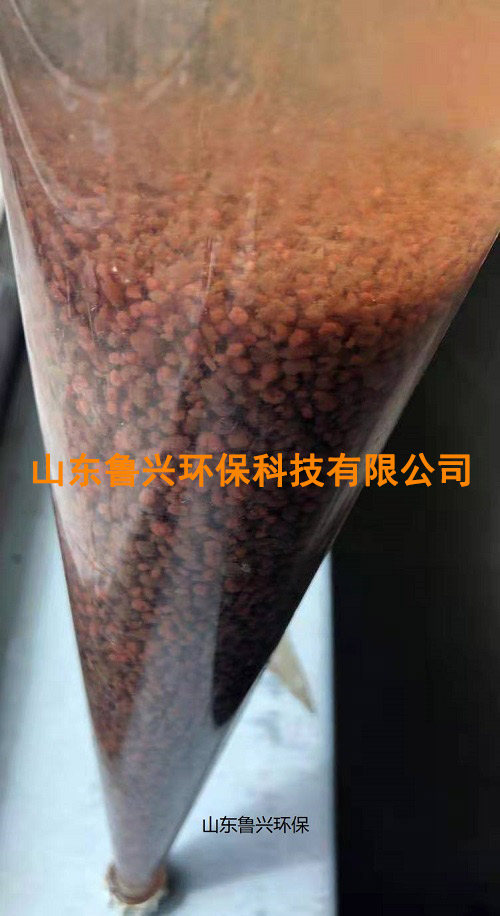 厌氧氨氧化颗粒污泥-(4).jpg