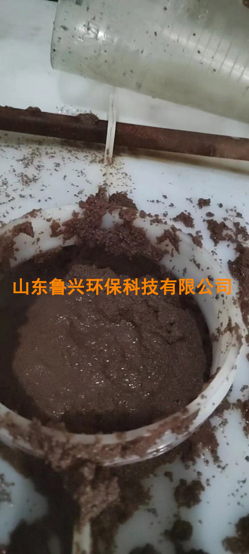 厌氧氨氧化颗粒污泥-(6).jpg