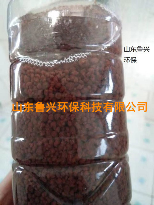 厌氧氨氧化颗粒污泥-(1).jpg