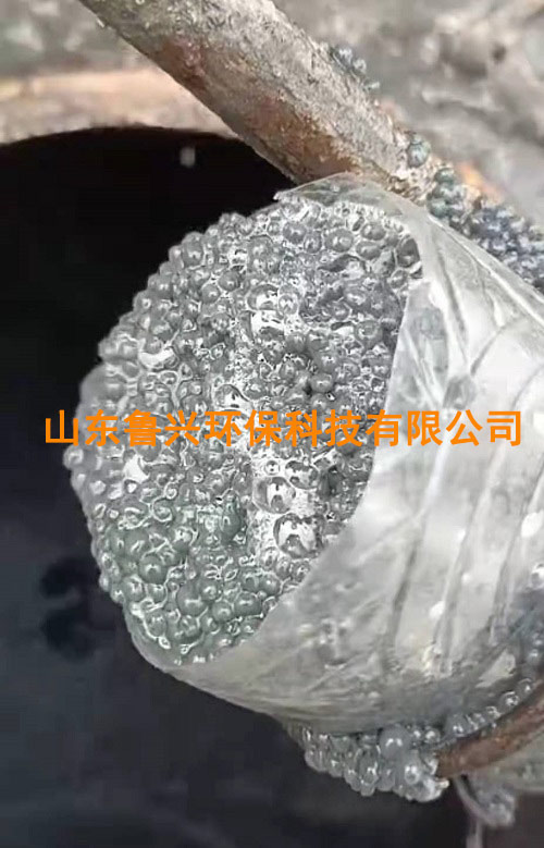 厌氧颗粒污泥-(5).jpg