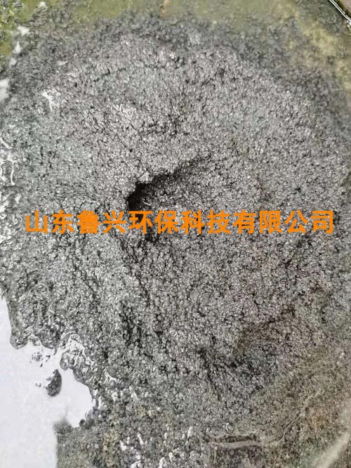 厌氧颗粒污泥-(1).jpg
