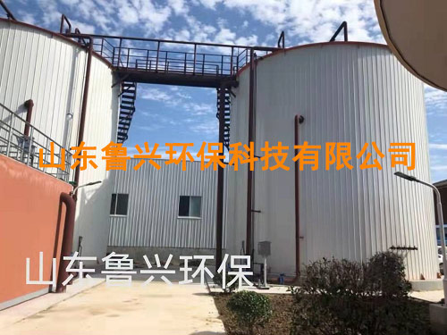厌氧罐6.jpg